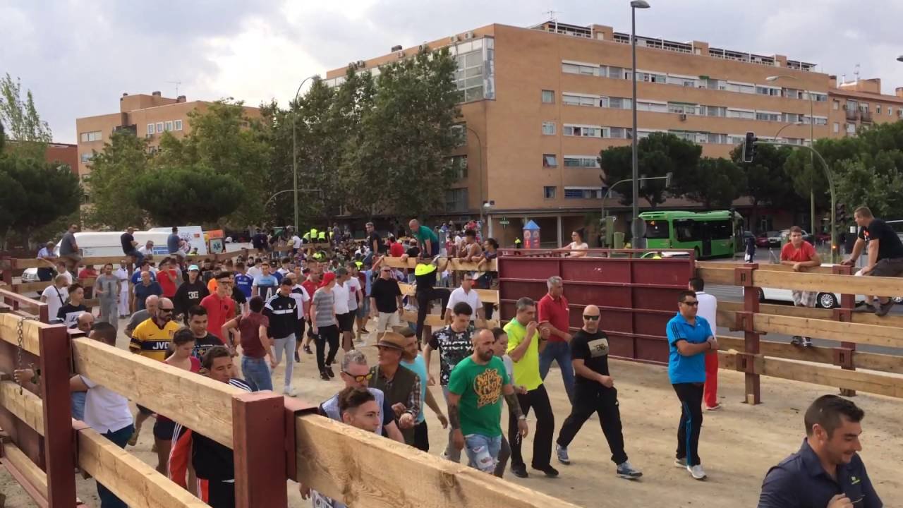 Cogida por un toro en mostoles en 2016