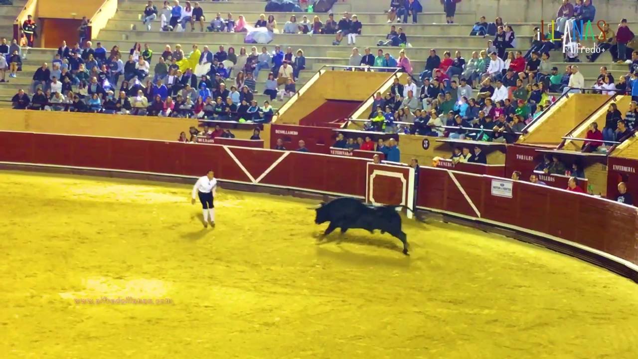 Móstoles concurso de recortes