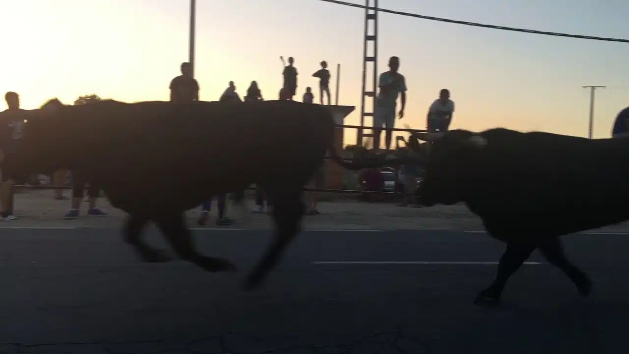 encierro nocturno por la calle