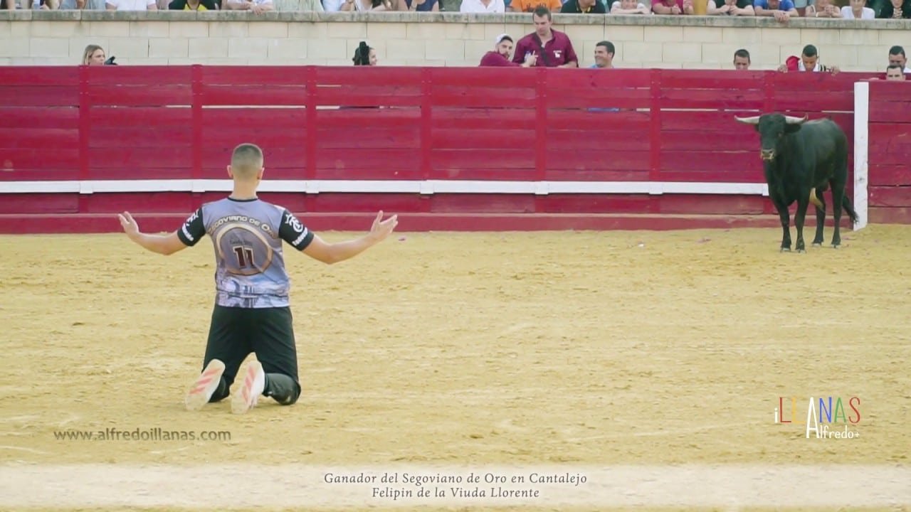 Felipin de la Viuda Llorente en Cantalejo