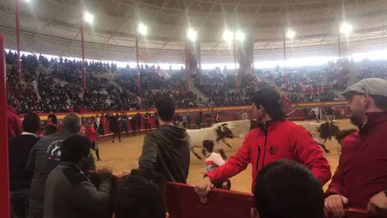 Plaza de toros de Valdemorillo