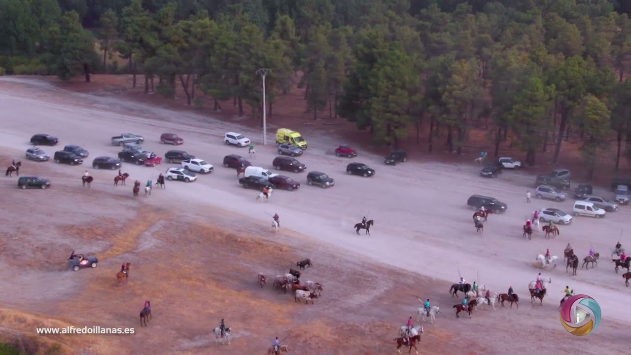 Imágenes de dron carracuellar
