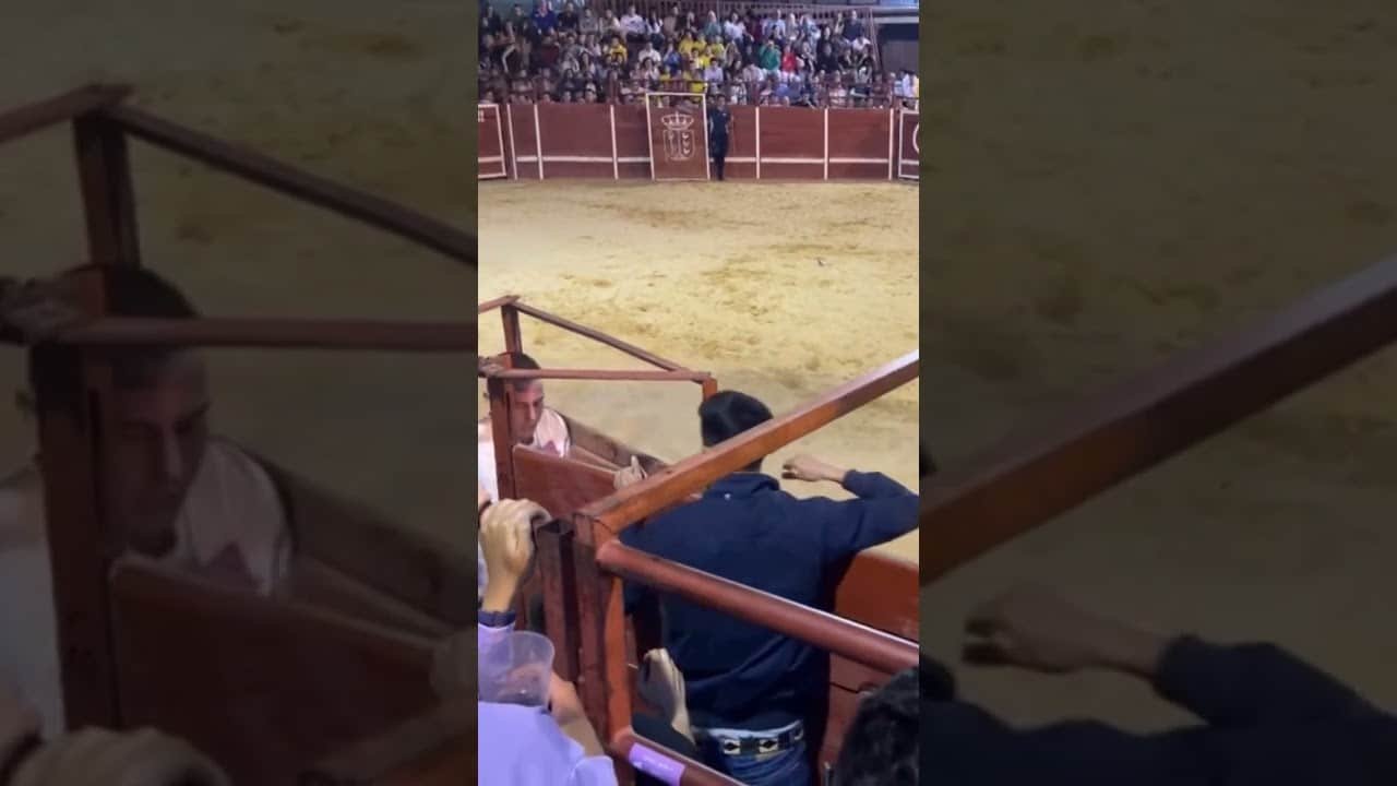 toro arremete burladero Fuentepelayo