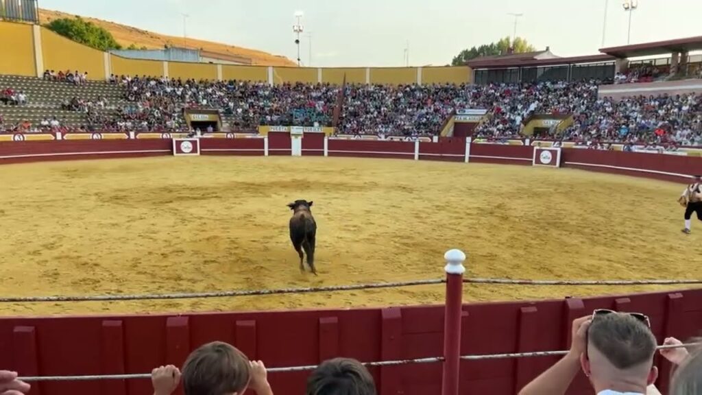 Plaza de toros cuellar