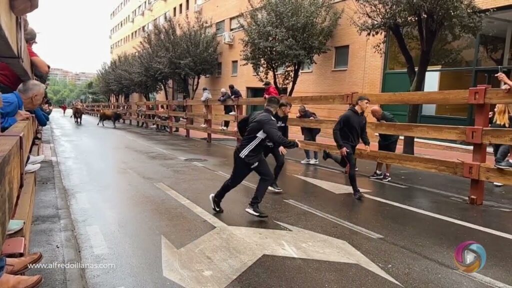 Toros y mozos corriendo por las calles