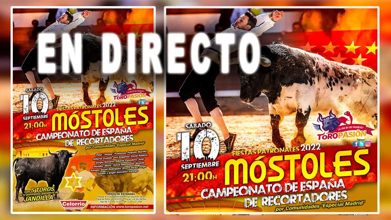 CAmpeonato de España de recortes