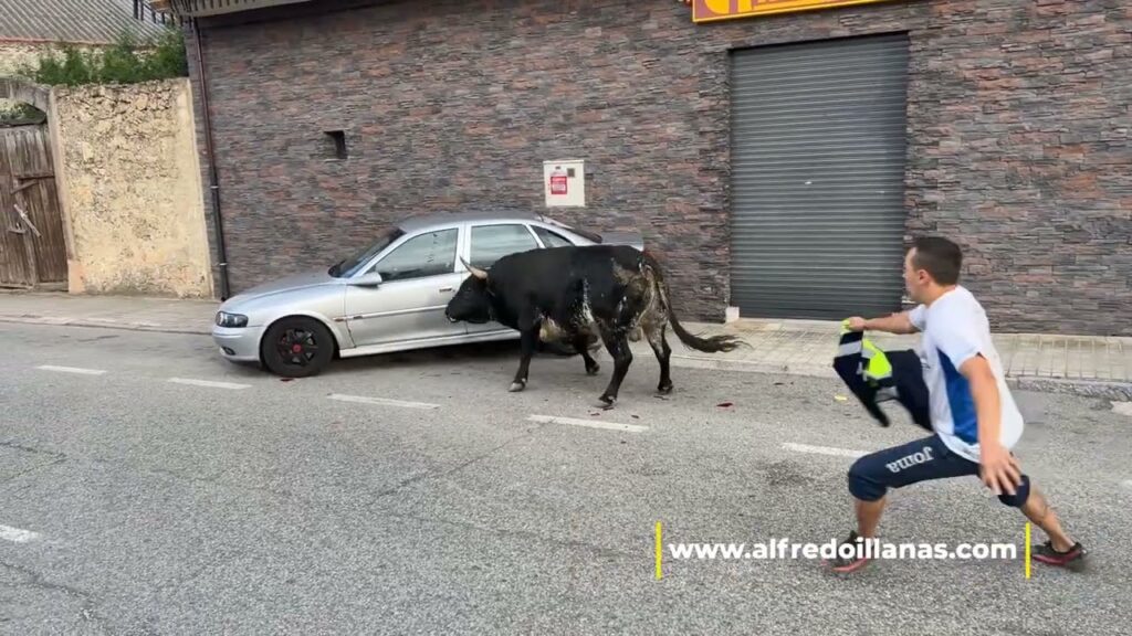 enorme toro embistiendo a un coche