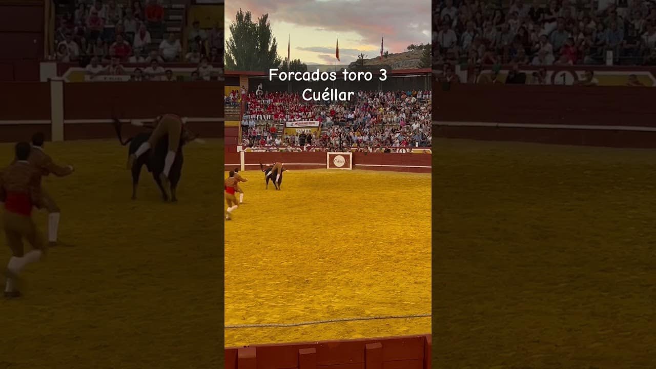 Forcados parando al toro
