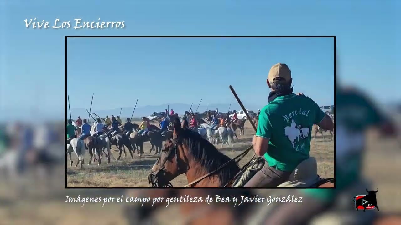 Caballos y jinetes por el campo
