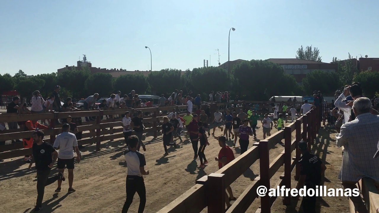 Móstoles susto en el encierro