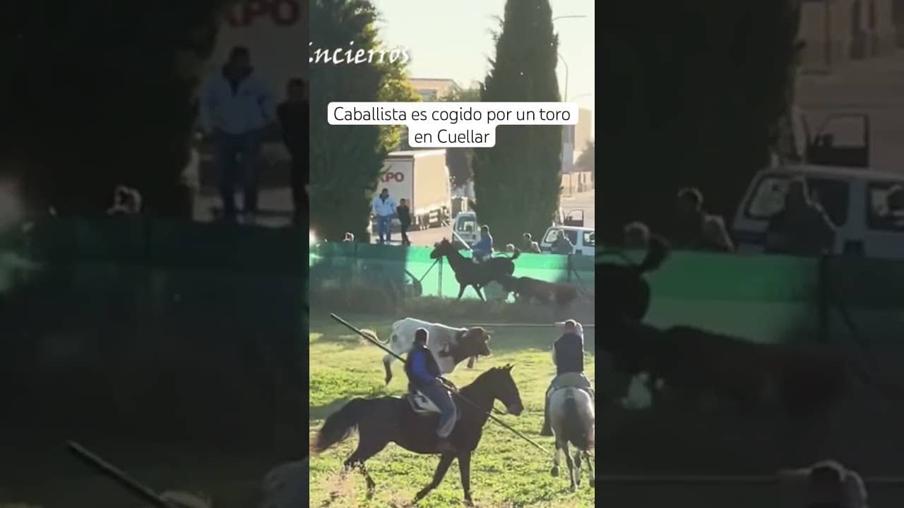 CABALLISTA cogido por un TORO en cuéllar