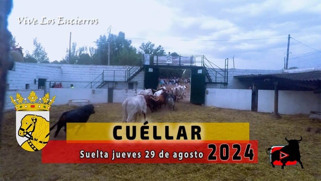 ¡DALE MARIANO, DALE! ESPECTACULAR la SUELTA del QUINTO ENCIERRO CUELLAR 2024