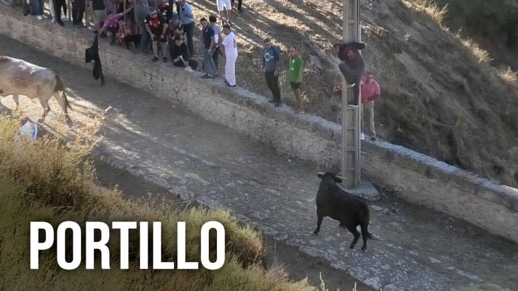 Encierro por el campo en el portillo