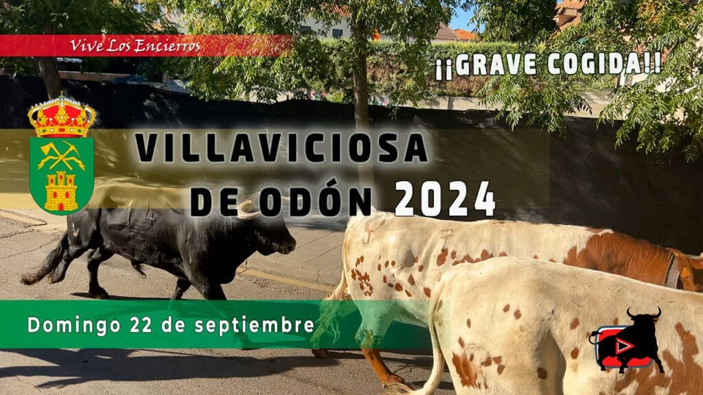Cogida grave en el último encierro de villaviciosa de odón