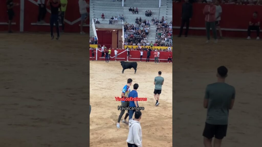 Pirueta a un toro bravo en Navalcarnero #shorts