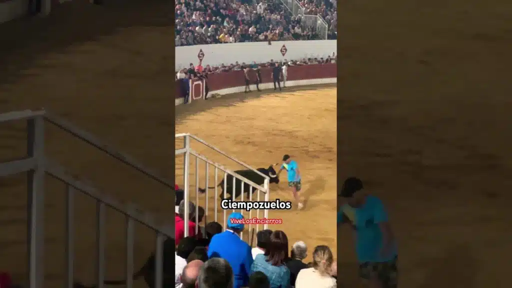 Mozos recortando en la capea Ciempozuelos #shorts