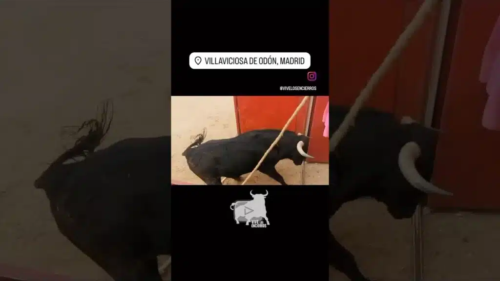 Toro se vuelve #shorts