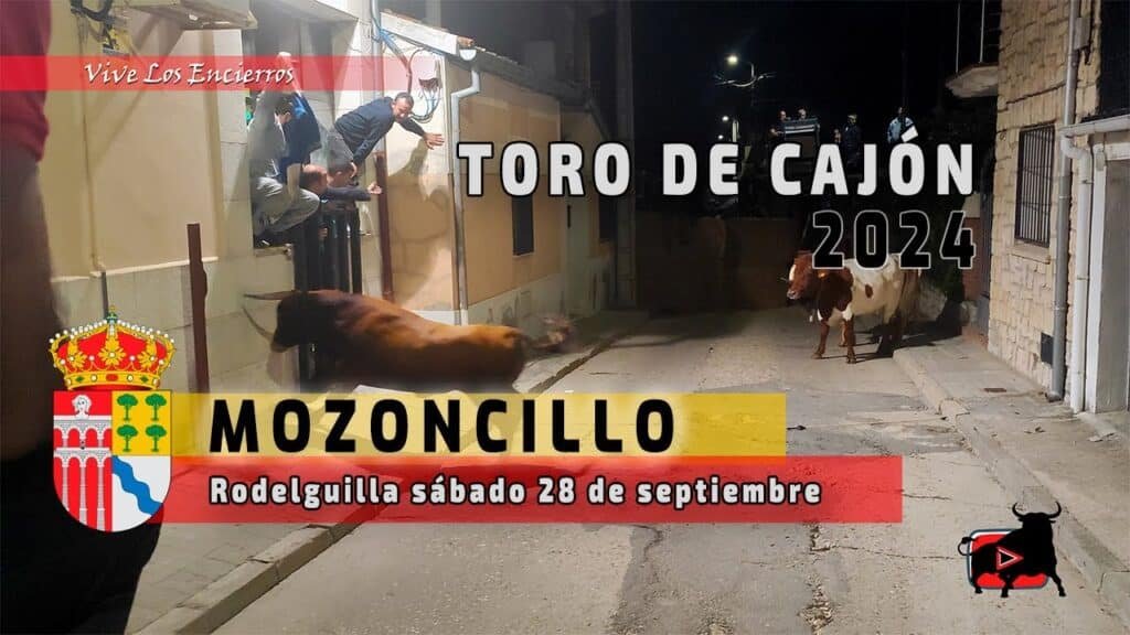 TORO de CAJÓN MOZONCILLO