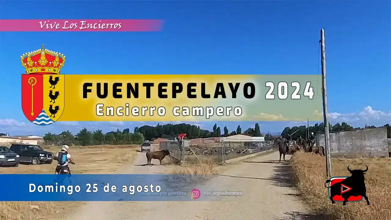 Encierro por el campo con toros bravos Fuentepelayo