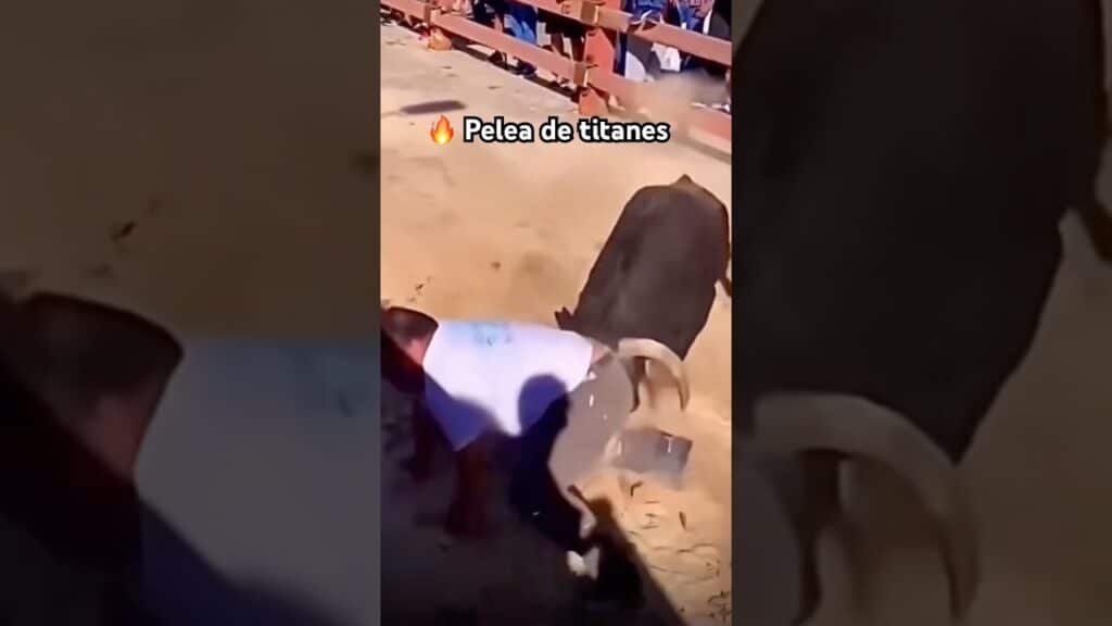 🔥 TORO BRAVO Vs TOPURIA #shorts
