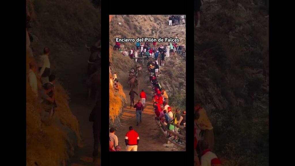Encierro del Pilón de Falces 2024 #shorts