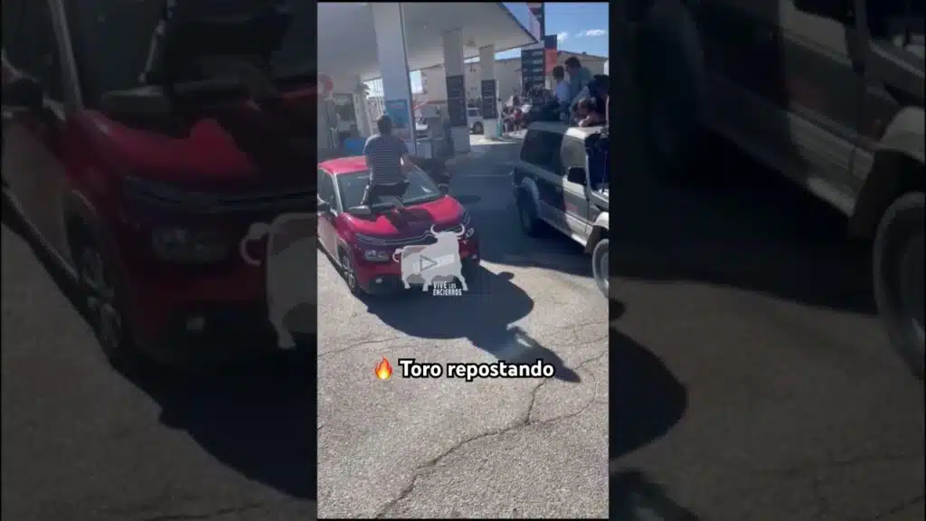 🔥TORO REPOSTANDO #shorts