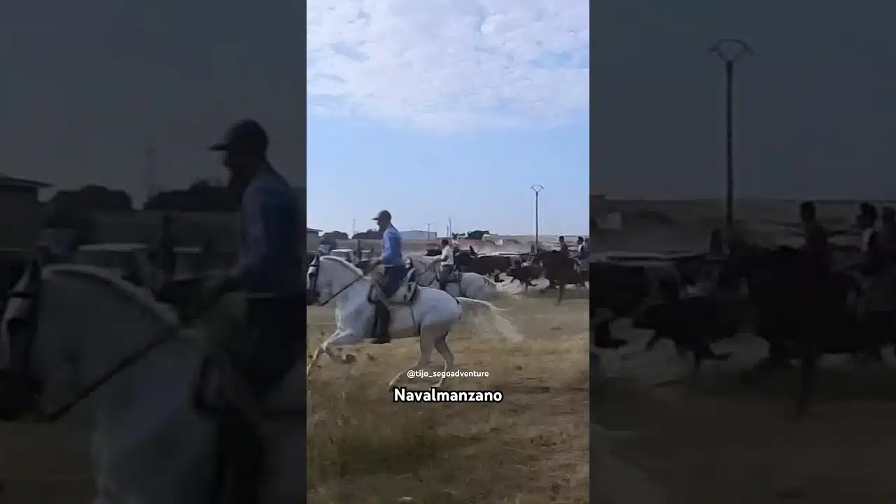 toro a la fuga fuentepelayo