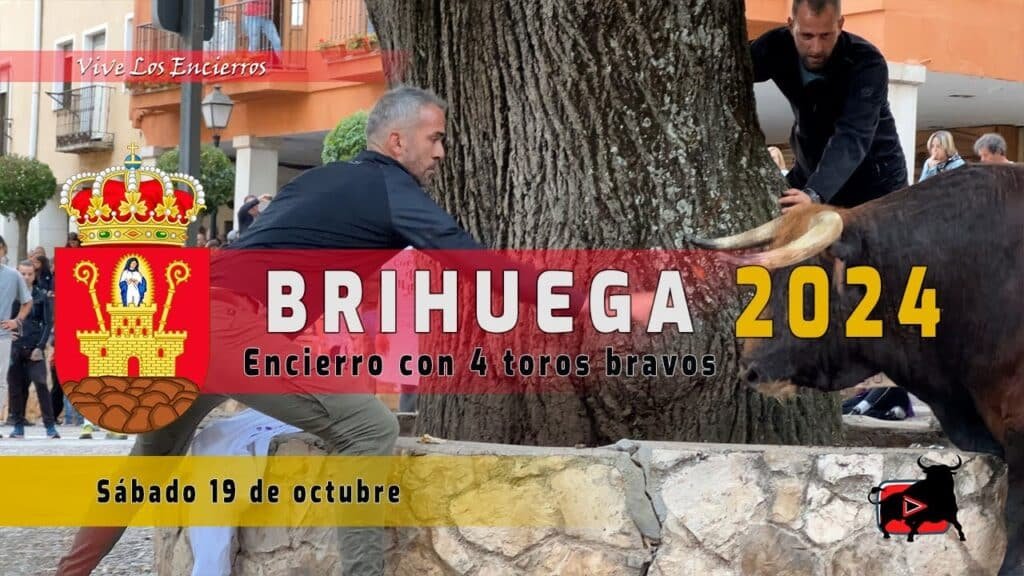Encierro Brihuega sábado | 19-10-2024