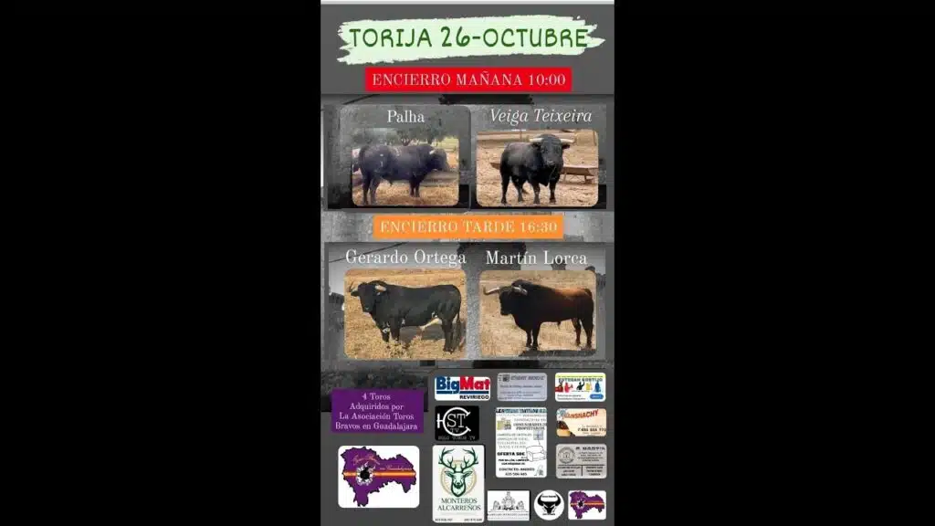 DIRECTO ENCIERRO en TORIJA