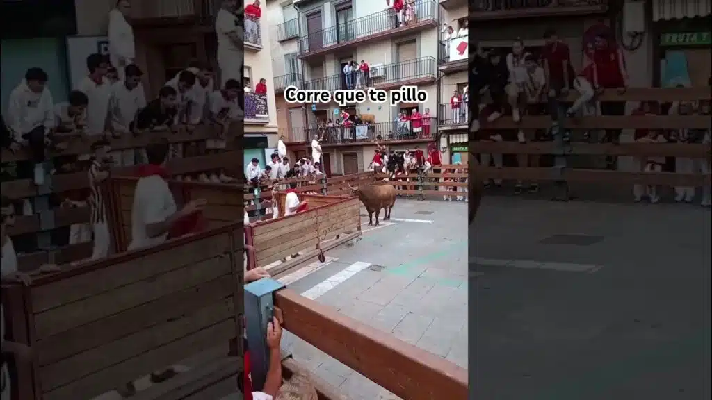 🏃🏻‍♂️🐂 CORRE que te PILLO #shorts