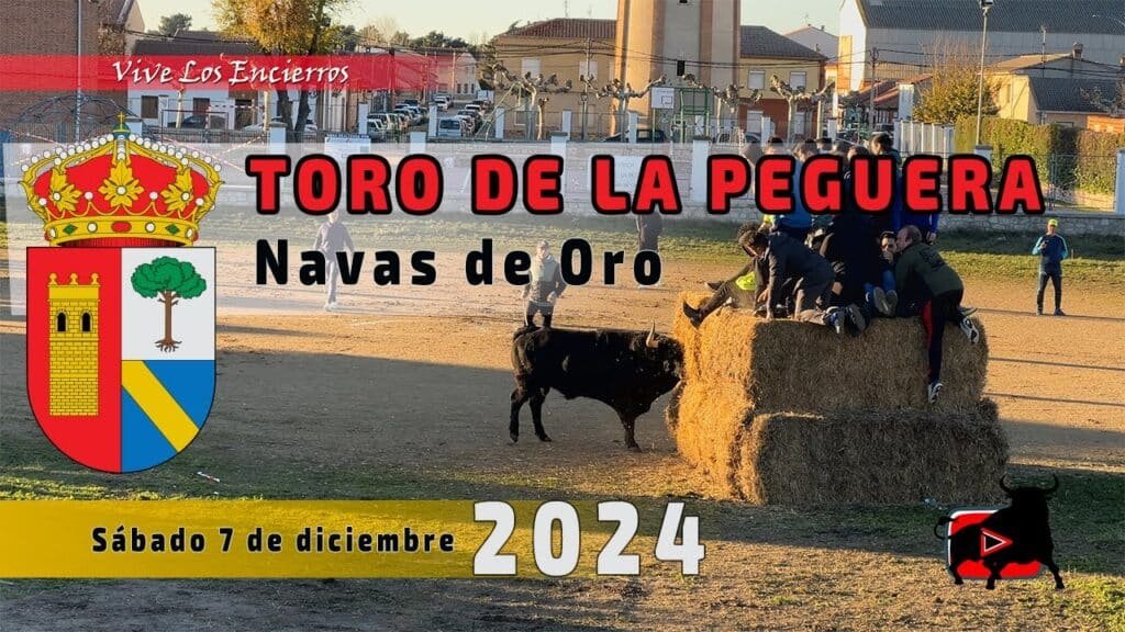 Resumen TORO de la PEGUERA 2024 | Navas de Oro