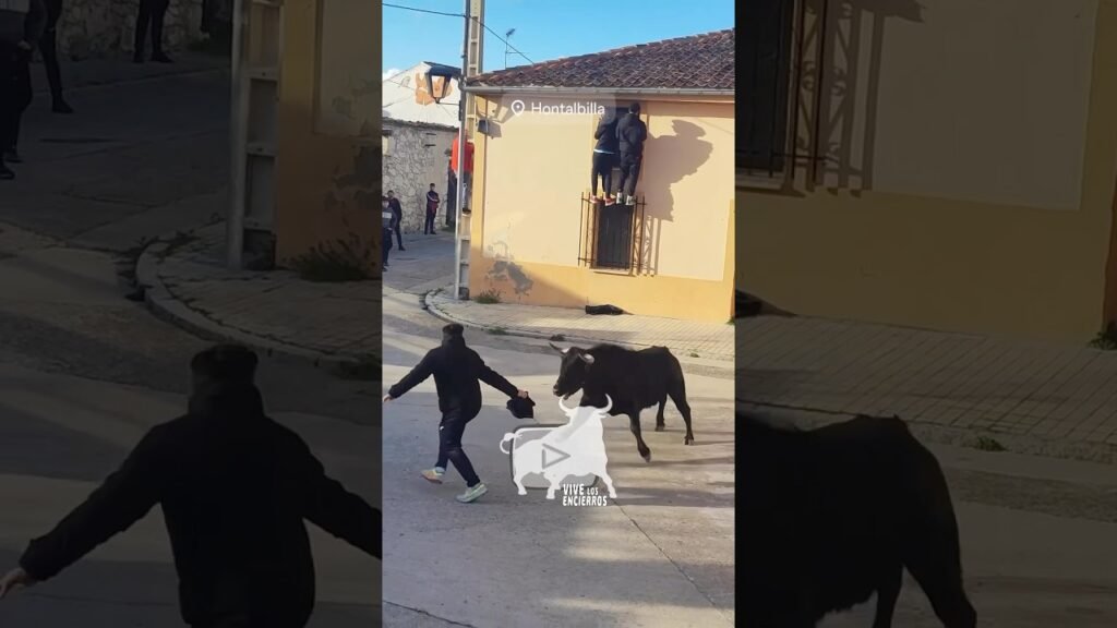 Adiestrando al toro #shorts