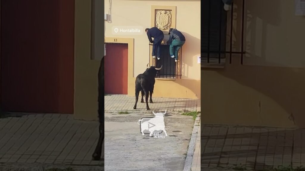 🥵 Acongojaoooosss a la ventana #shorts