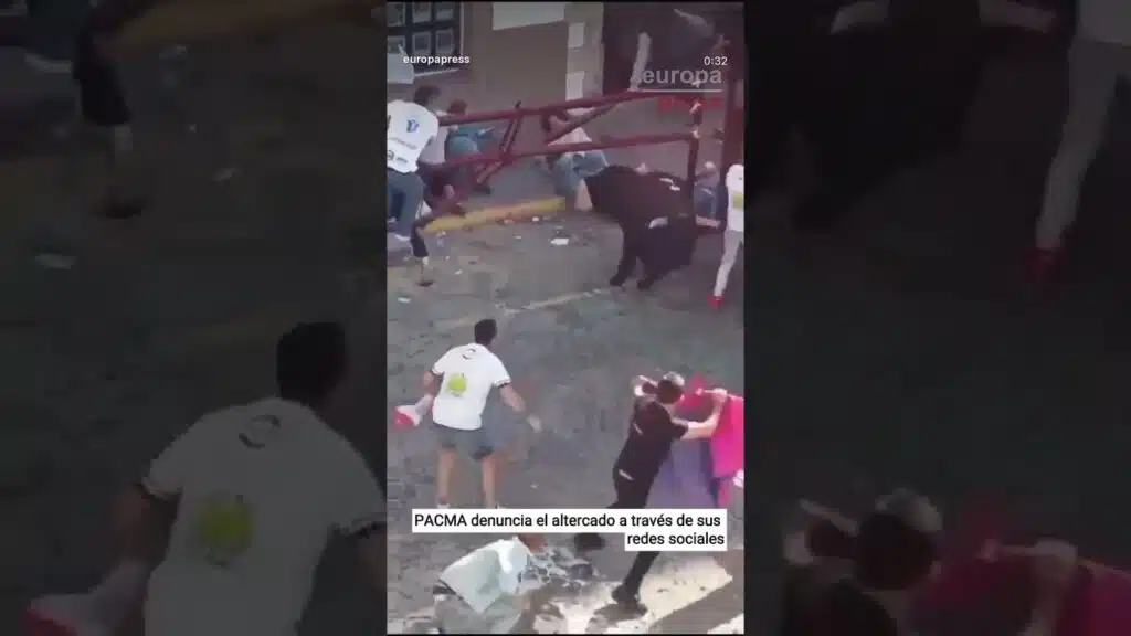 Pánico en la suelta del toro de cajón #shorts
