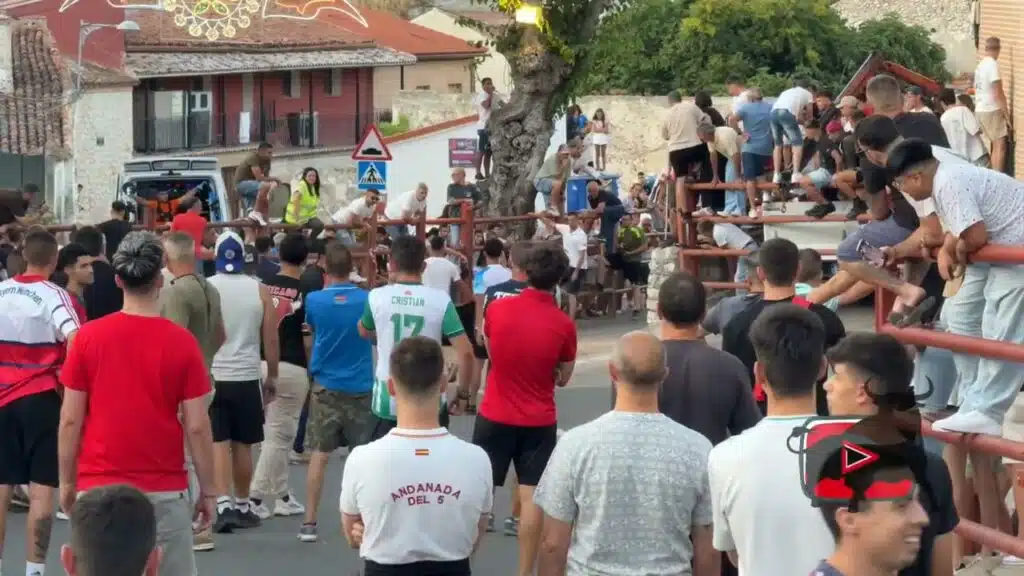Toros de cajón Valdelaguna
