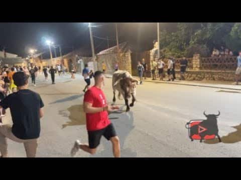 Encierro urbano Sanchonuño 02-08-25