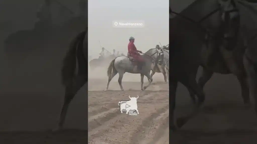 Toro arremete a caballistas en Navalmanzano #shorts