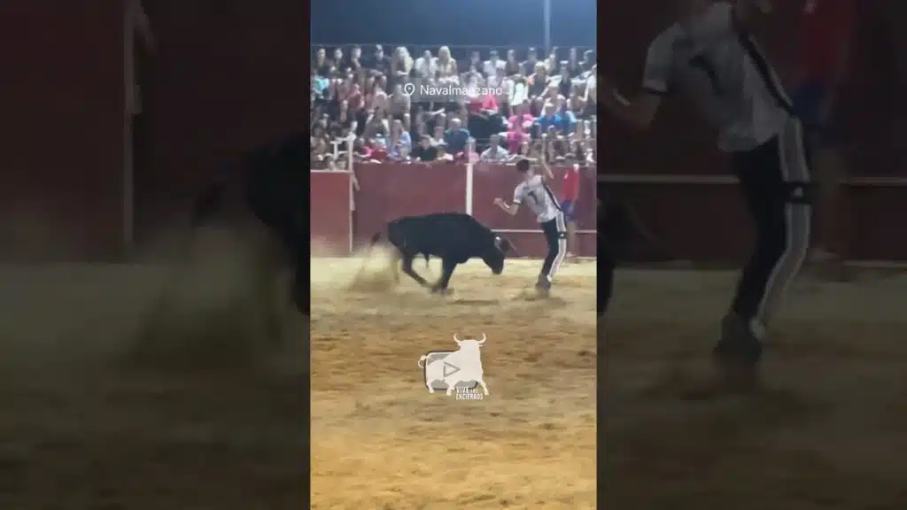 Capea nocturna Navalmanzano #shorts