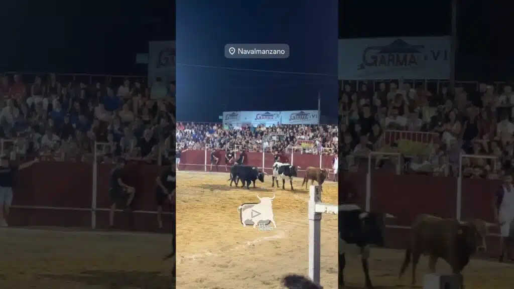 Encierro nocturno Navalmanzano #shorrts