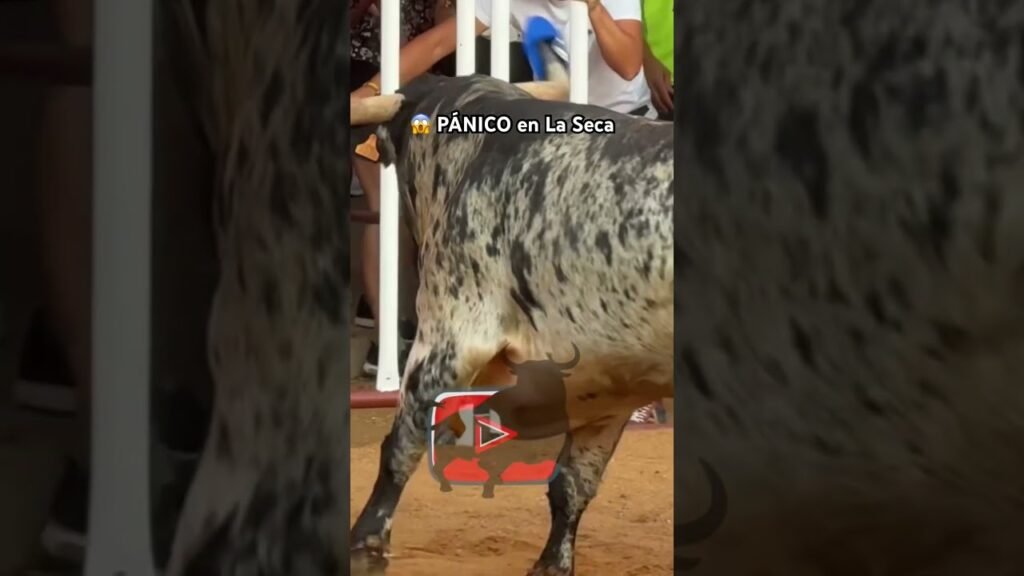 🥵 PÁNICO en La Seca #shorts