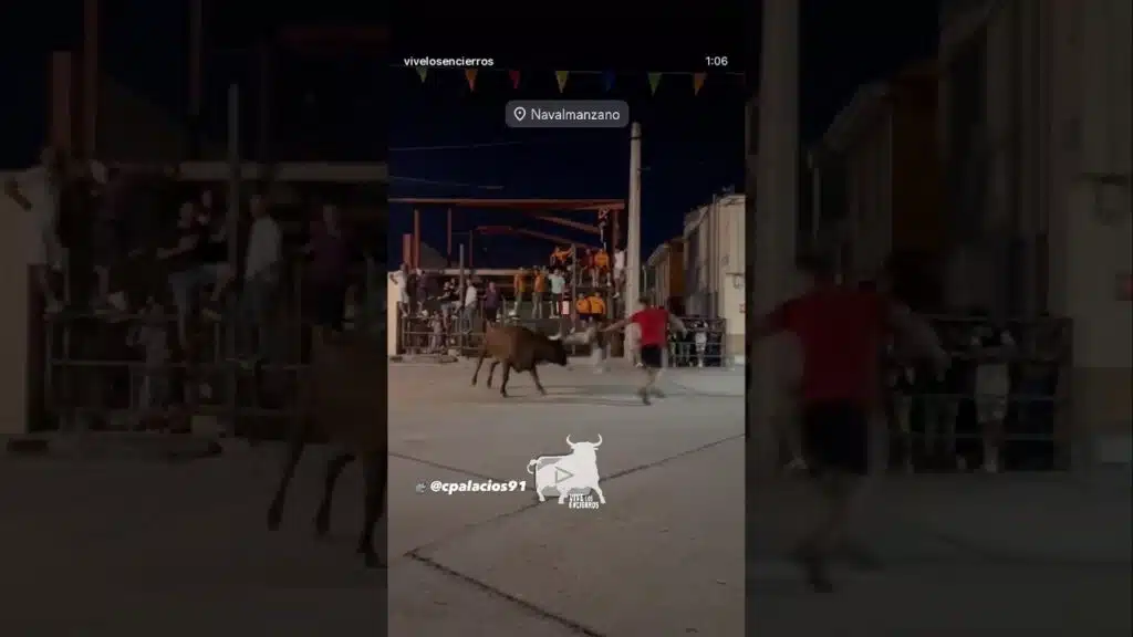 Encierro nocturno sábado Navalmanzano #shorts