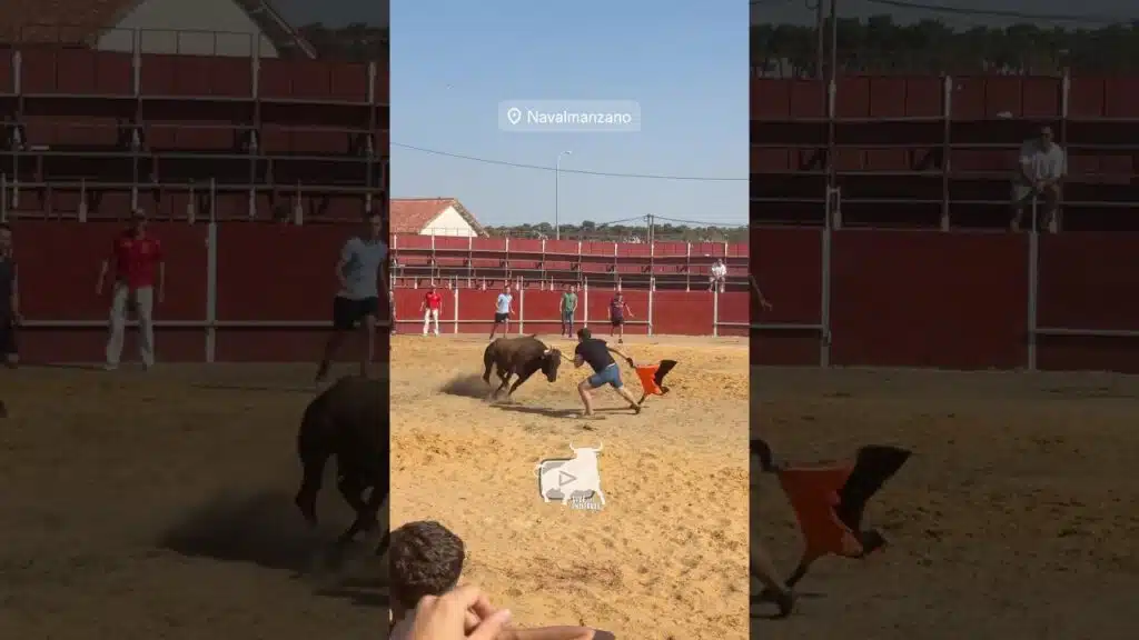 Capea domingo Navalmanzano #shorts