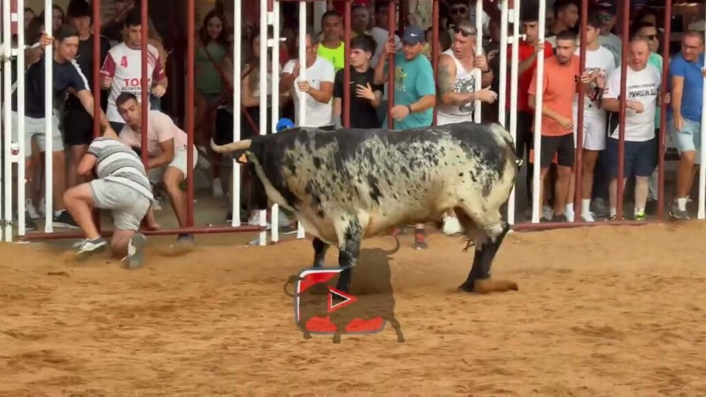 😱 Momentos de pánico en La Seca