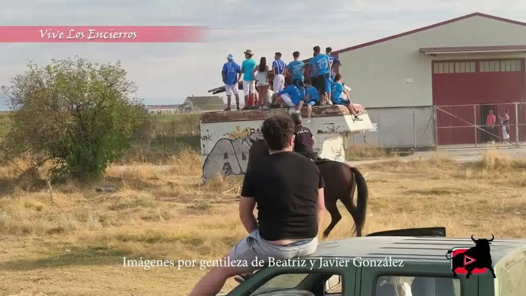 Segundo Encierro Campero Embudo Fuentepelayo