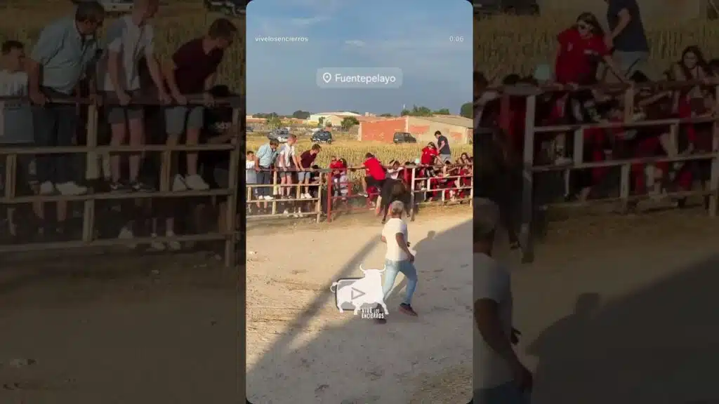 Director de lidia en apuros #shorts