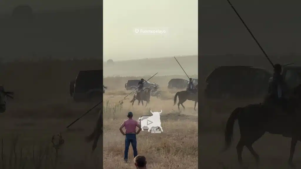 Toro se vuelve parte 2 #shorts