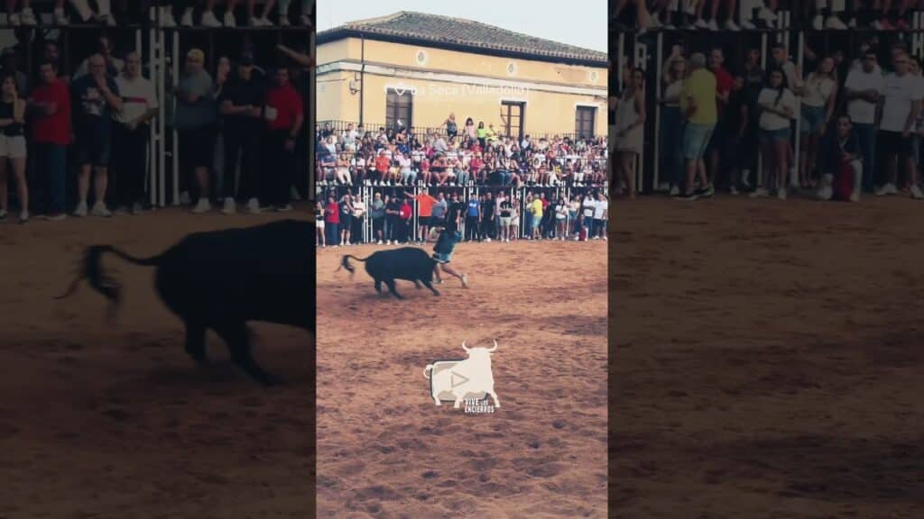 🤠 Cuidaooo que te pilla #shorts