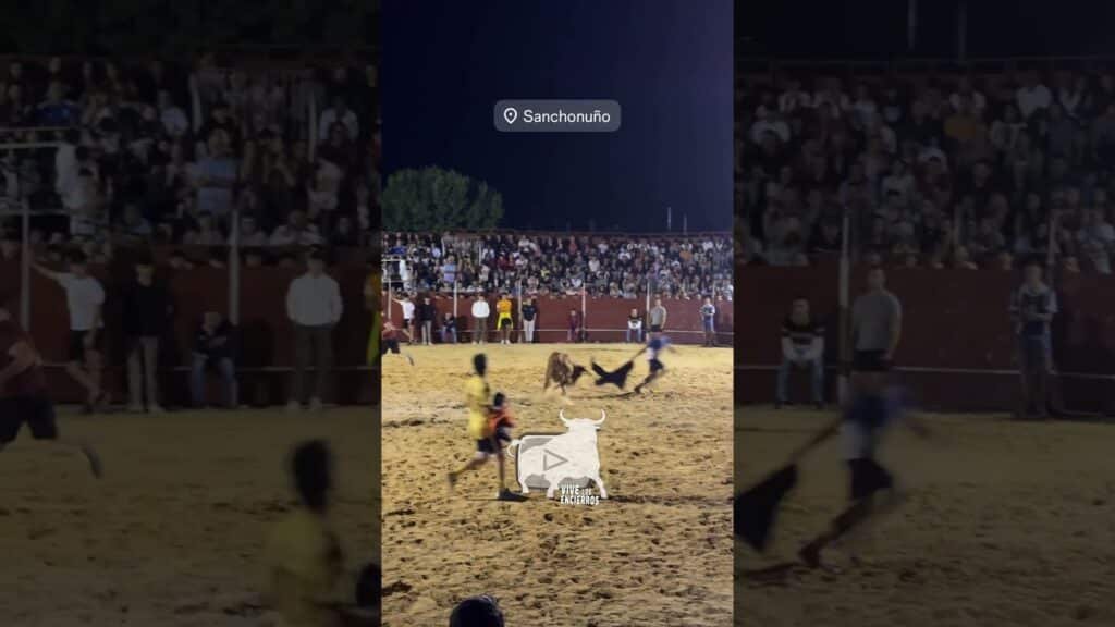 Corte a la vaca Sanchonuño #shorts