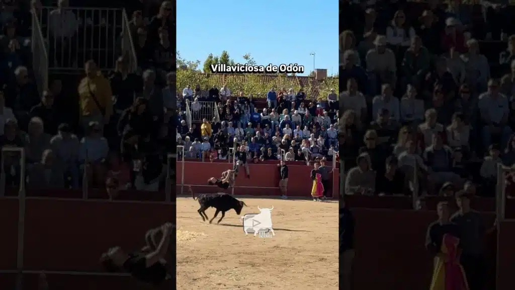 Capea Villaviciosa de Odón #shorts