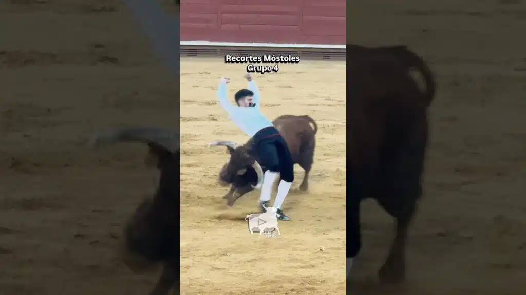 Concurso de recortadores grupo 4 #shorts